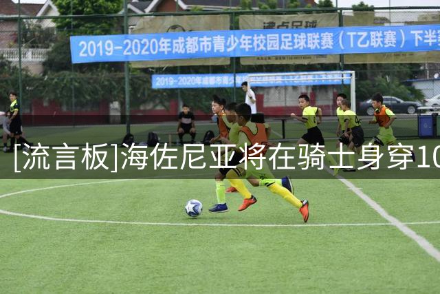 [流言板]海佐尼亚将在骑士身穿10号球衣，上一任10号是加兰